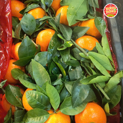 Quýt vàng Nội địa Trung - kg