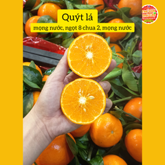 Quýt vàng Nội địa Trung - kg