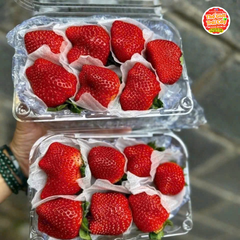 Dâu Mộc châu King size 14-16 quả - hộp 500gr