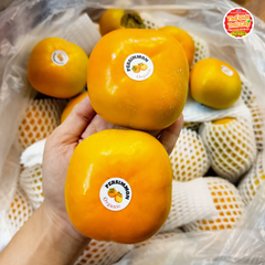 Hồng Mật Vân sơn nội địa Trung - kg