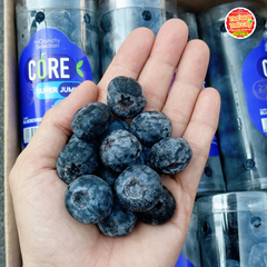 Việt quất Nam phi Jumbo - ống 200gr