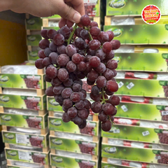 Nho đỏ kẹo Peru - hộp 500gr