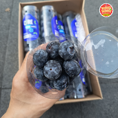 Việt quất Nam phi Jumbo - ống 200gr