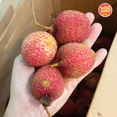 Vải trứng Phù Cư Hưng yên - hộp 500gr