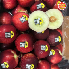 Xuân Đào Úc - kg