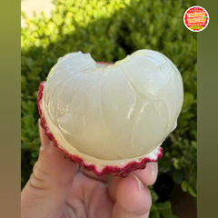 Vải trứng Phù Cư Hưng yên - hộp 500gr