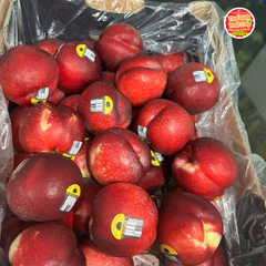 Xuân Đào Úc - kg