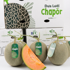 Dưa lưới Mật Chapor Global G.A.P - kg