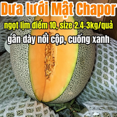 Dưa lưới Mật Chapor Global G.A.P - kg