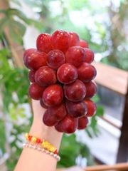 Nho Đỏ đường Red Claret Hàn quốc - chùm 450gr