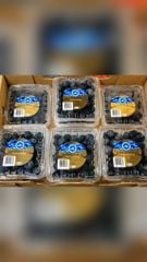 Việt quất Úc Jumbo Muontain Blue - hộp 125gr