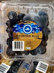 Việt quất Úc Jumbo Muontain Blue - hộp 125gr