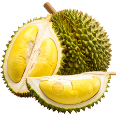 Sầu riêng Ri6 ( nguyên trái chưa tách vỏ ) - kg