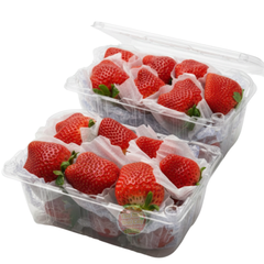 Dâu Mộc châu King size 14-16 quả - hộp 500gr