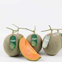 Dưa lưới Mật Chapor Global G.A.P - kg