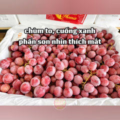 Nho đỏ hạt Úc - hộp 500gr