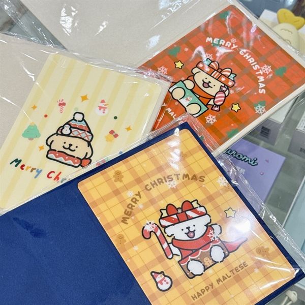  Album ảnh cún Maltese Giáng Sinh 