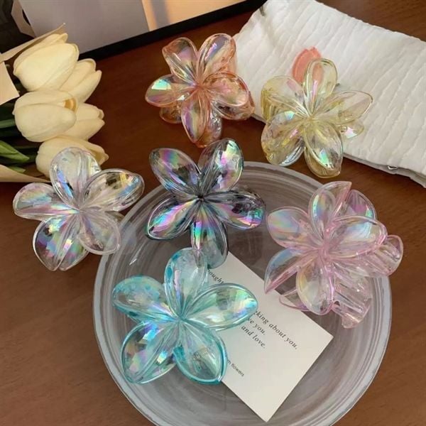  Kẹp càng cua hoa sứ trong ánh xà cừ 