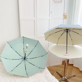  Ô gập gọn mix dây đeo màu sắc 