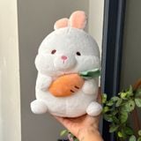  Thỏ ôm trái cây 