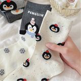  Tất cánh cụt Alice & Andy 