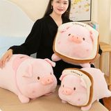  Heo bông bánh gối 