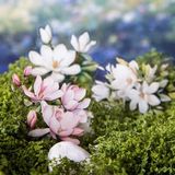  Sticker hoa lá Have a good day 