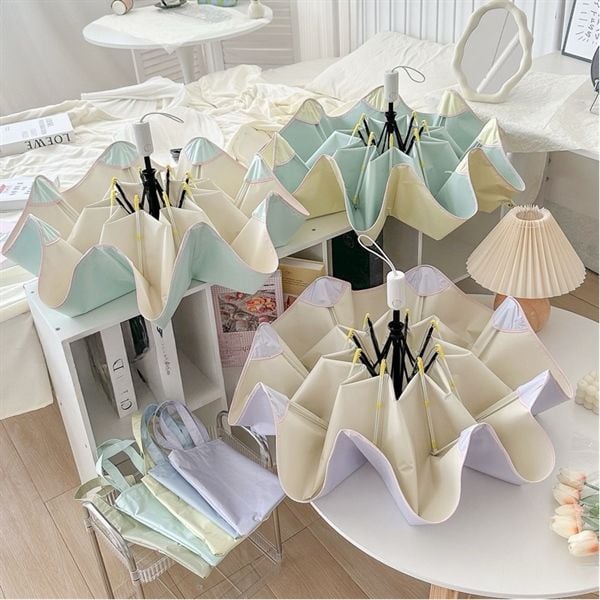  Ô tự động cao cấp 2 màu 