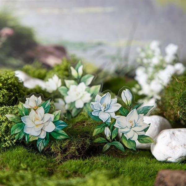  Sticker hoa lá Have a good day 