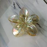  Kẹp càng cua hoa sứ trong ánh xà cừ 