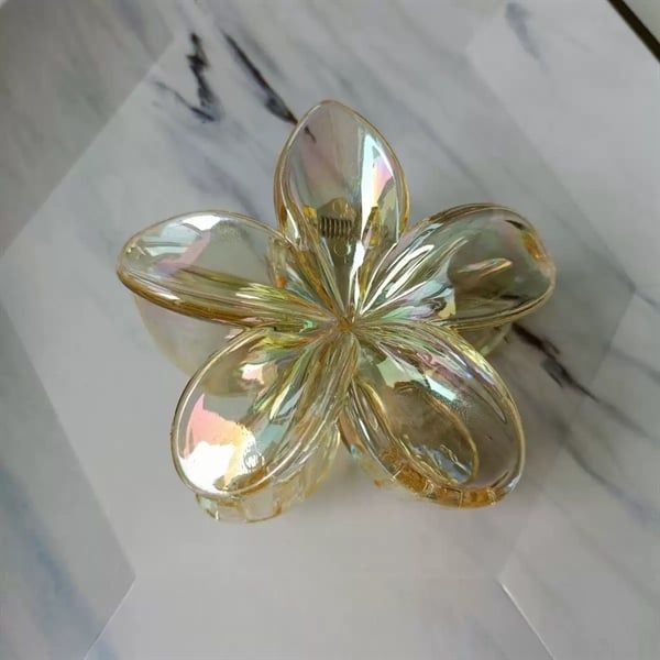  Kẹp càng cua hoa sứ trong ánh xà cừ 