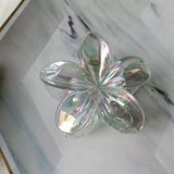  Kẹp càng cua hoa sứ trong ánh xà cừ 