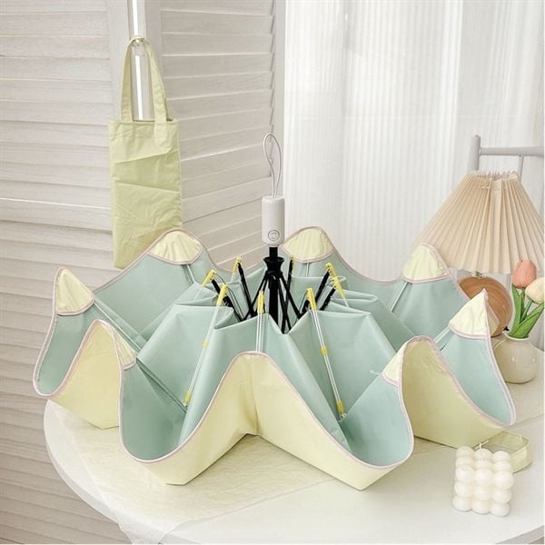  Ô tự động cao cấp 2 màu 