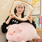  Heo bông bánh gối 