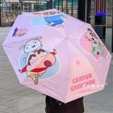  Ô Shinchan 
