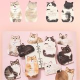  Lịch để bàn thú cưng đế gỗ 