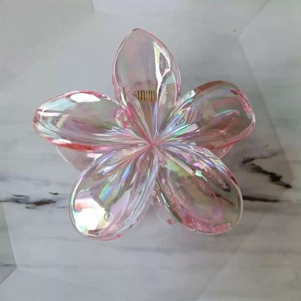  Kẹp càng cua hoa sứ trong ánh xà cừ 