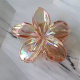  Kẹp càng cua hoa sứ trong ánh xà cừ 