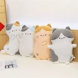  Mèo bông dẹt 50cm 