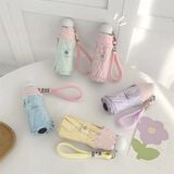  Ô gập gọn mix dây đeo màu sắc 