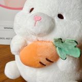  Thỏ ôm trái cây 