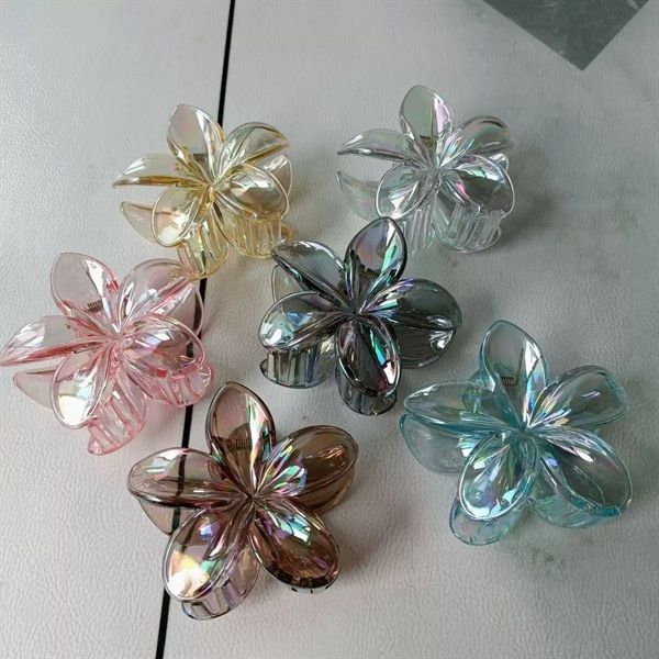  Kẹp càng cua hoa sứ trong ánh xà cừ 