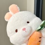  Thỏ ôm trái cây 