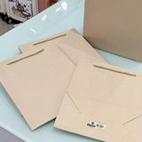  Túi quà kẻ vân be 21x25x10,5cm 