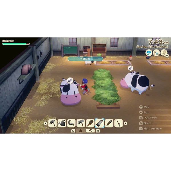 Game Nintendo Switch Story of Seasons : Grand Bazaar Premium Edition