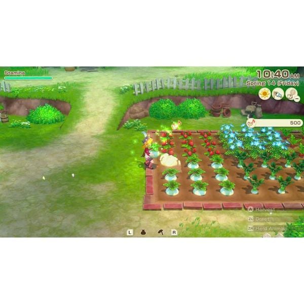 Game Nintendo Switch 2 Story of Seasons : Grand Bazaar Special Edition