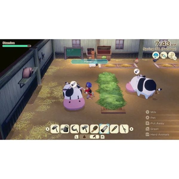 Game Nintendo Switch 2 Story of Seasons : Grand Bazaar Special Edition