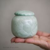  Gấm Hoa (Phiên bản 2026) 