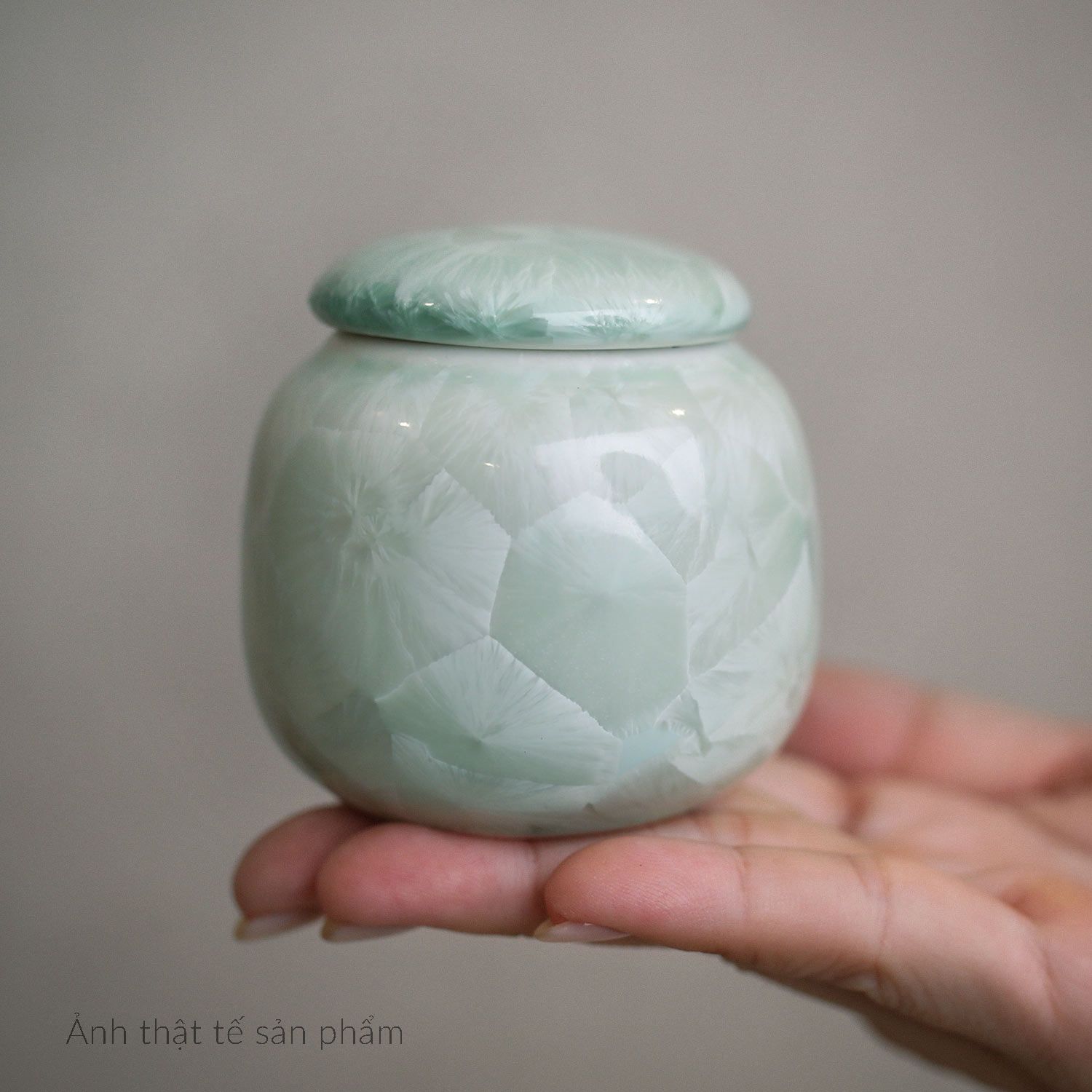  Gấm Hoa (Phiên bản 2026) 