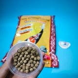 Cám KING FEED GROW & COLOR đạm cao 45% TĂNG MÀU, giúp cá lên màu đẹp với công thức mới